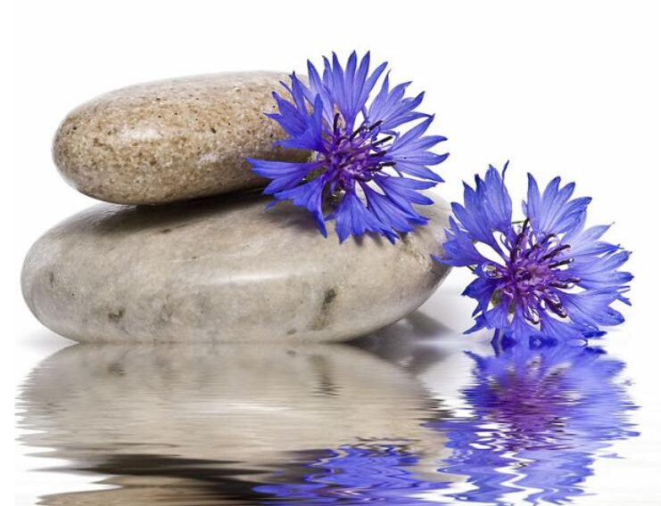 cuando ir blog cuando ir blog